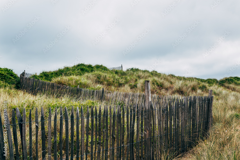 Fototapeta premium fence in the field