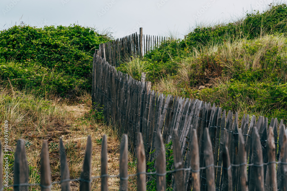 Obraz premium wooden fence and grass