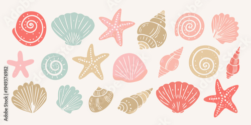 A colorful collection of seashells and starfish on a pale background