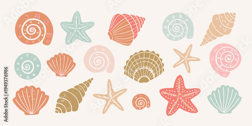Colorful illustration of various seashells and starfish on a pale background