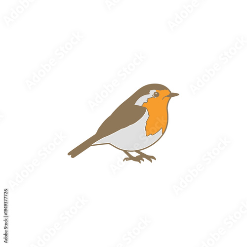 Cartoon Robin Bird vector illustration