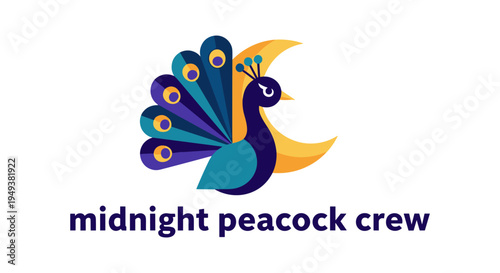 Midnight peacock crew logo in vibrant colorful illustration for branding