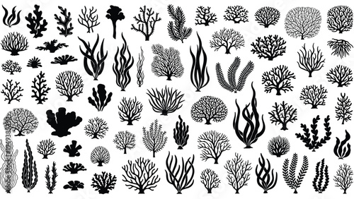 Large collection of diverse coral and seaweed silhouettes representing underwater ocean life and marine biodiversity.