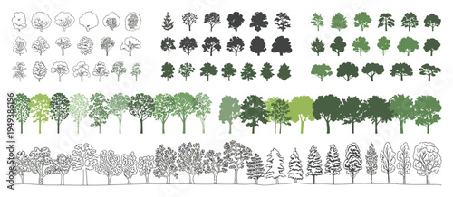 Architectural CAD Tree Line Set, Side View Forest and Wetland Section Illustrations for Landscape Design, Technical Outline Vegetation Elements, Clean Vector Drawing Collection