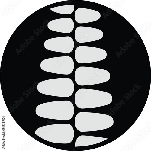 Abstract Human Spine and Vertebrae Icon for Chiropractic and Orthopedic Wellness