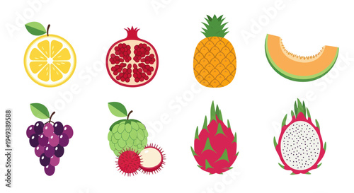 Colorful assortment of fresh fruit illustrations