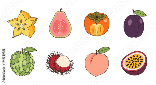 Colorful tropical fruits collection illustration