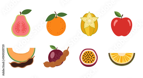 Colorful tropical fruits illustration