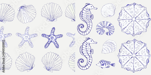 Vintage style illustration of seashells seahorses starfish and ocean life