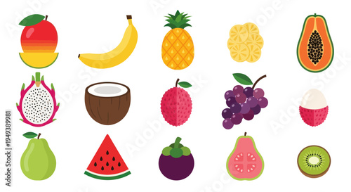 Colorful tropical fruits vector illustration