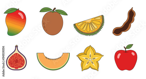 Colorful vector illustration of various fruits