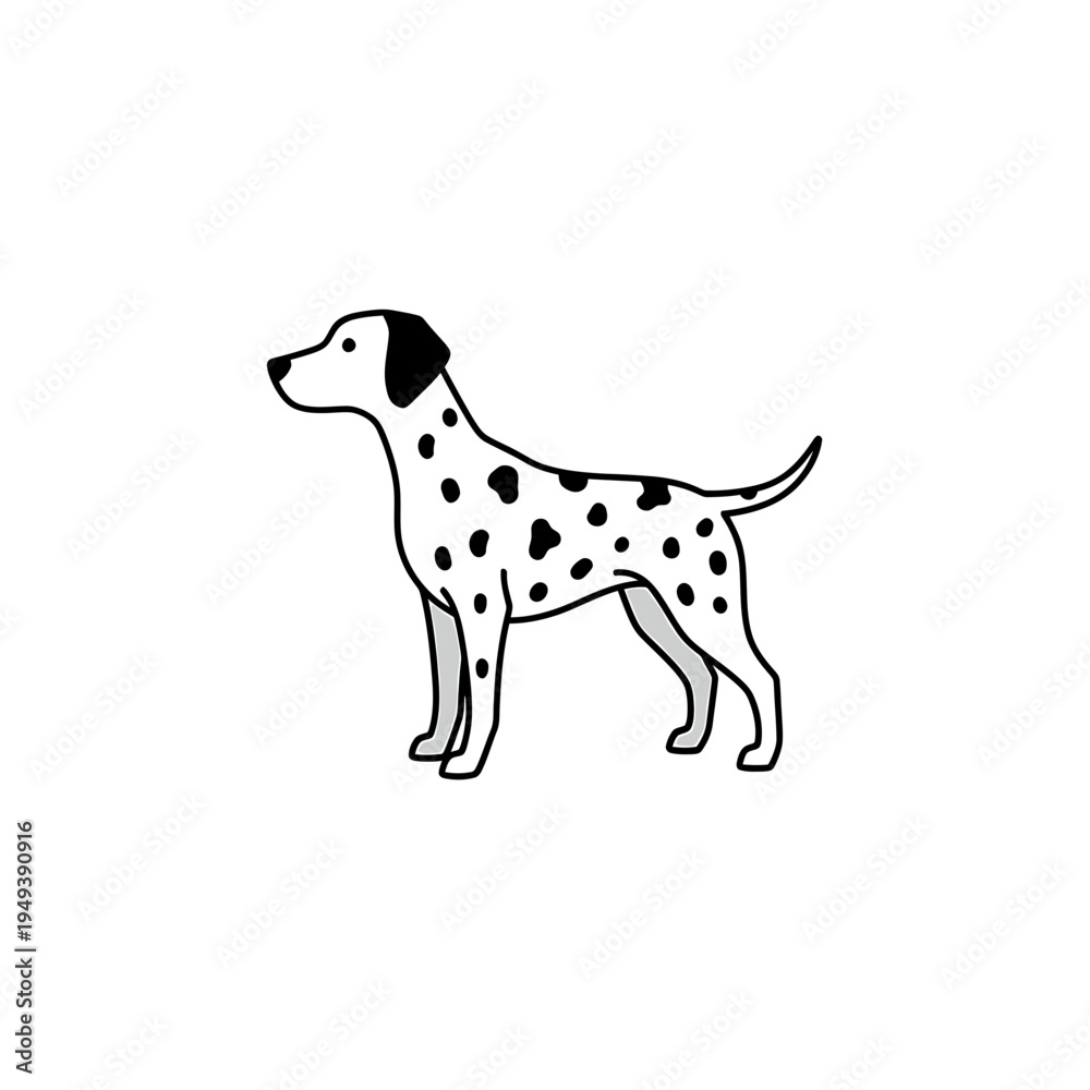 Fototapeta premium Dalmatian Dog Outline vector illustration