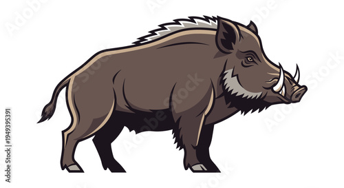 A detailed illustration depicts a muscular wild boar standing in profile showcasing its tusks and bristly coat silhouette high quality professional