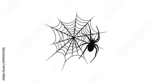A detailed spiderweb design with a black spider prominently featured creating a striking visual silhouette high quality professional modern elegant stylish