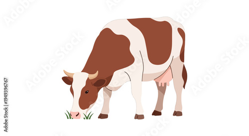A colorful illustration depicts a brown and white cow grazing on green grass presented as a silhouette high quality professional detailed