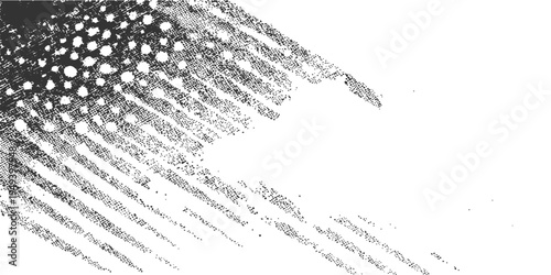 Intricate black and white feathers texture creating a captivating design.