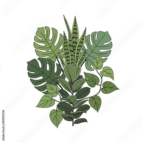 Collection of Tropical Leaves and Foliage.