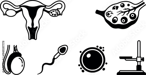 Black and white flat design vector art of female reproductive system sperm egg ovary and microscope lab equipment detailed icons