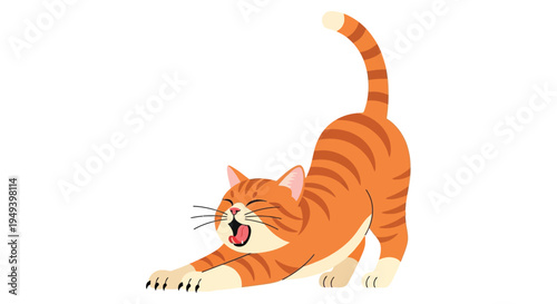 An orange tabby cat stretches playfully with its paws extended and tail curved showcasing a vibrant silhouette high quality professional detailed