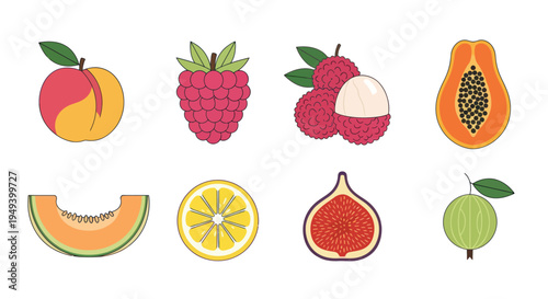Variety of colorful fruit illustrations