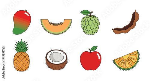 Variety of colorful tropical fruit illustrations