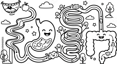 Smiling digestive system anatomy cartoon showing food moving from mouth through stomach intestines in educational style