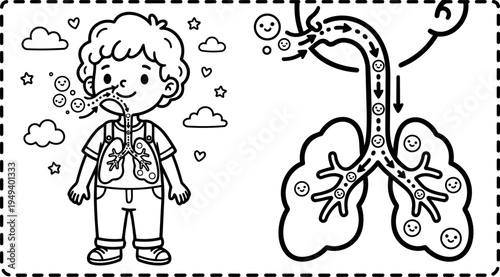 Educational flat design illustration showing young boy breathing with lungs and airflow diagram playful learning visual