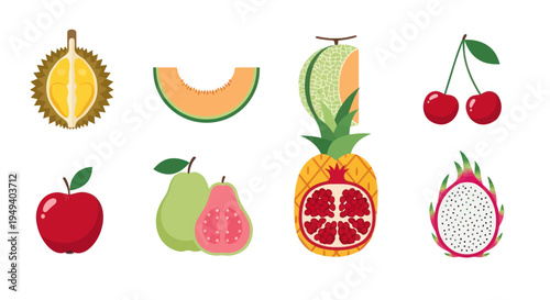 Variety of fresh colorful fruit illustrations