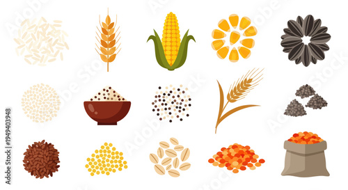 Variety of grains and seeds illustration