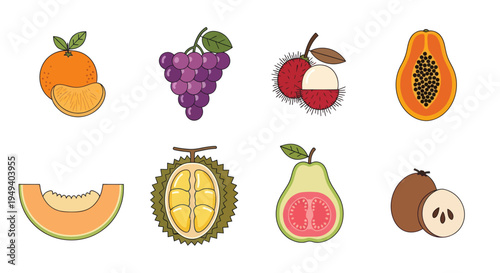 Variety of grains and seeds illustration