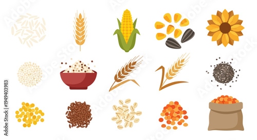 Variety of grains and seeds isolated
