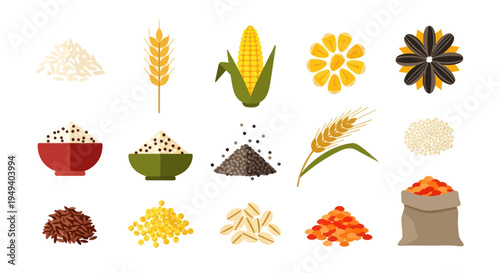 Variety of grains and seeds illustration