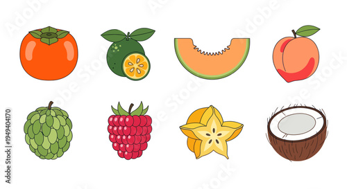 Various colorful fruit illustrations