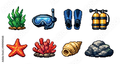 Sea plants and diving gear arranged in grid on backdrop