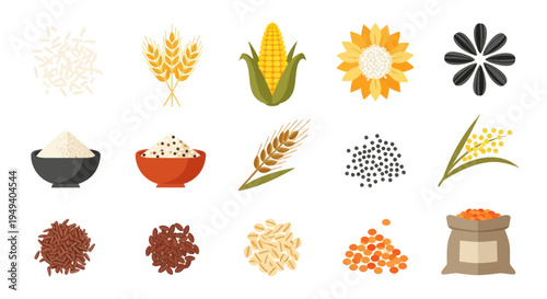 Various seeds and grains isolated vector