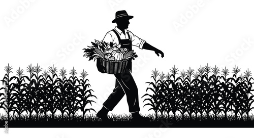 A farmer walks through a field of corn carrying a basket overflowing with harvested vegetables silhouette high quality professional detailed modern