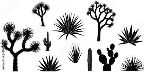 Cactus, Agave and Joshua Tree Desert Plant Silhouette Collection, Botanical Vector Illustration Set for Desert Landscape Design, Isolated Nature Graphic Elements Bundle