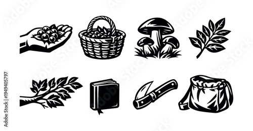 Handpicked berries basket mushrooms leaves and outdoor tools silhouette vector set