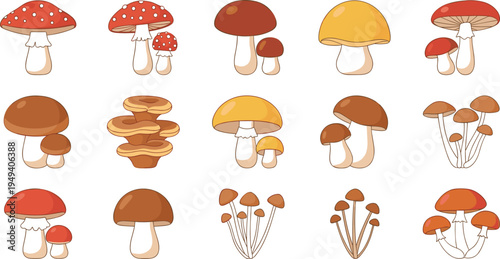 Seamless pattern with various autumn mushrooms and forest leaves, colorful fungi background for textile and wallpaper design, vector illustration isolated on white