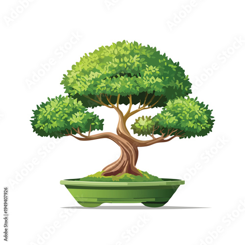 Bonsai tree illustration vibrant green foliage and brown trunk against white