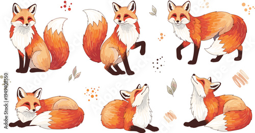 Set of cute red fox characters, hand drawn illustrations of forest animals in various poses, wildlife vector art isolated on white background