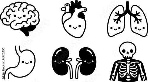 Cute smiling cartoon style human brain heart lungs stomach kidneys and skeleton icons in black and white vector art set
