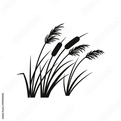 Black Silhouette of Cattails on White Background vector illustration