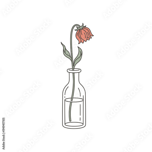 Single Withered Flower in Glass Vase vector illustration