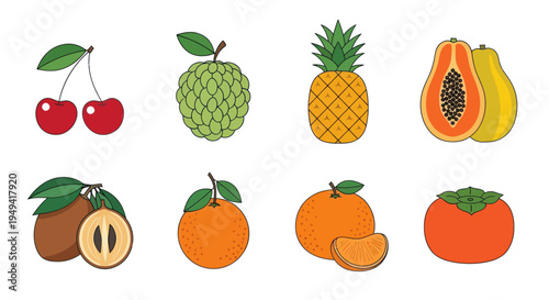Colorful fruit vector illustrations on white