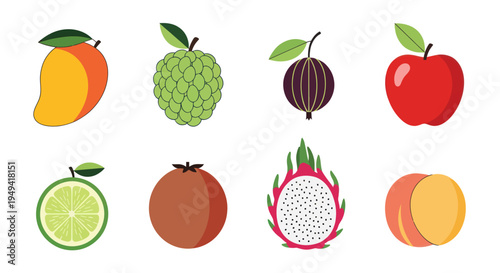 Colorful fruits isolated vector illustration
