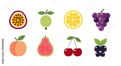 Colorful fruits isolated vector illustration
