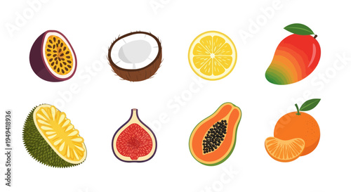 Colorful tropical fruit assortment illustration