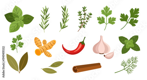Fresh herbs and spices collection