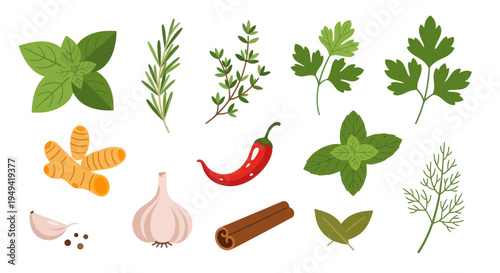 Fresh herbs and spices collection